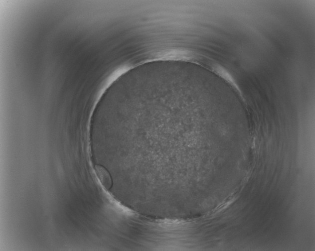 X0000080181087200612151942