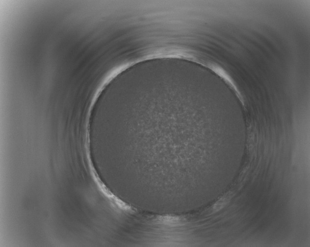 X0000080181088200612151942