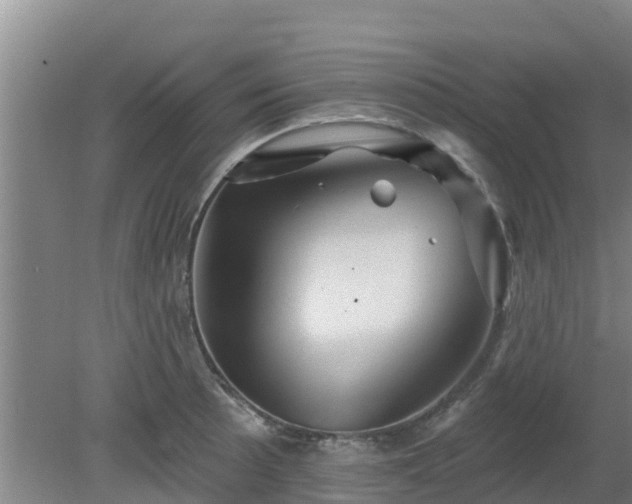 X0000080181089200612151942