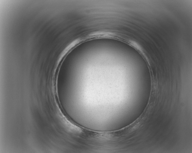 X0000080181090200612151942