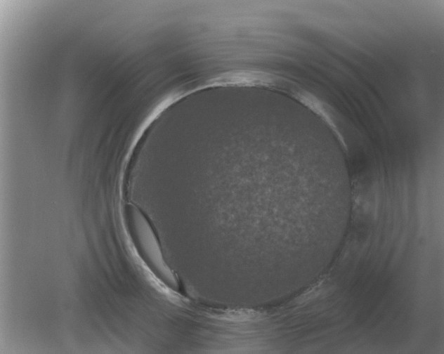 X0000080181091200612151942