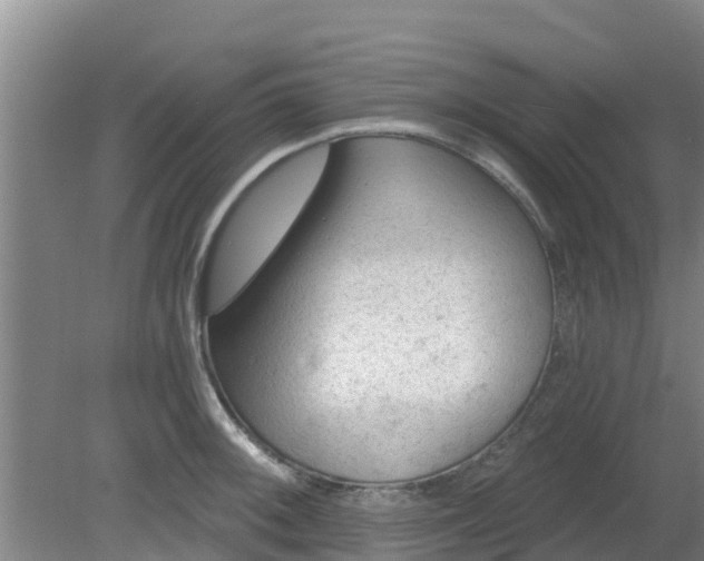 X0000080181092200612151942