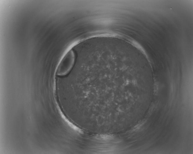 X0000080181095200612151942