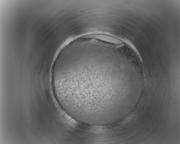 X0000080181096200612151942