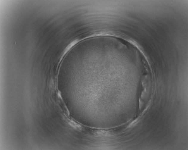 X0000080181097200612151942