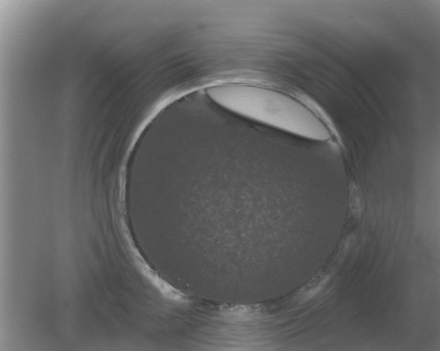 X0000080181099200612151942