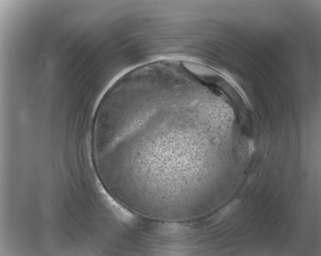 X0000080181100200612151942