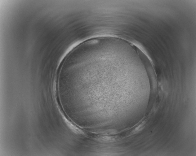 X0000080181101200612151942