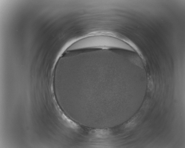 X0000080181102200612151942