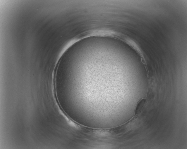 X0000080181103200612151942