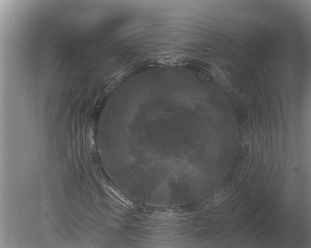 X0000080181106200612151941