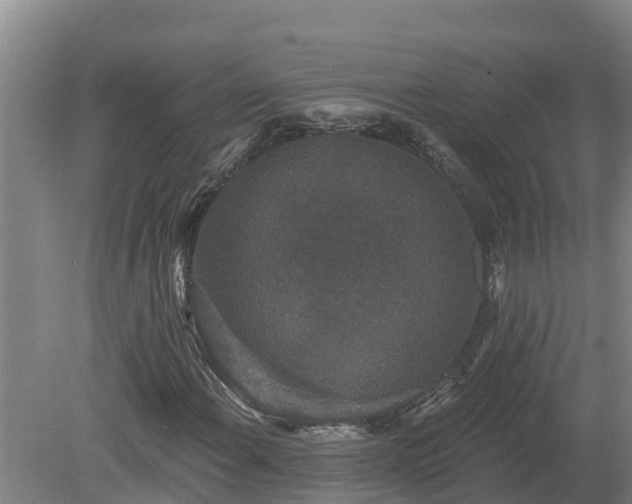 X0000080181108200612151941