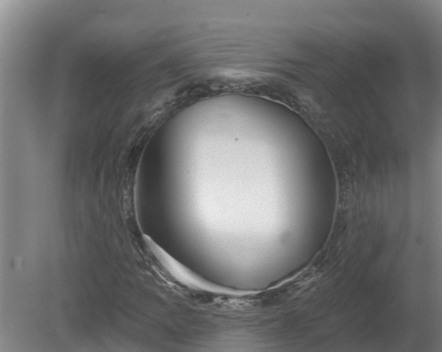 X0000080181109200612151941