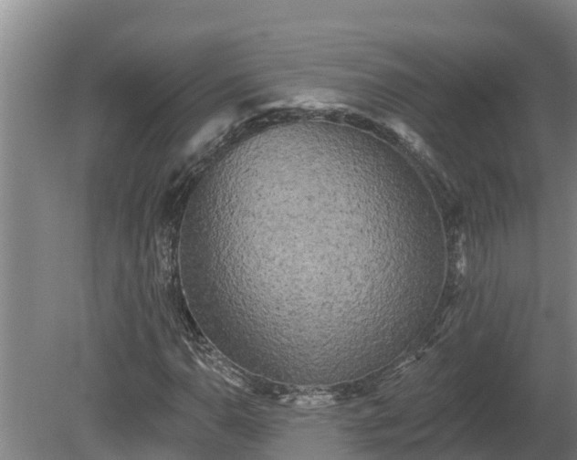 X0000080181110200612151941