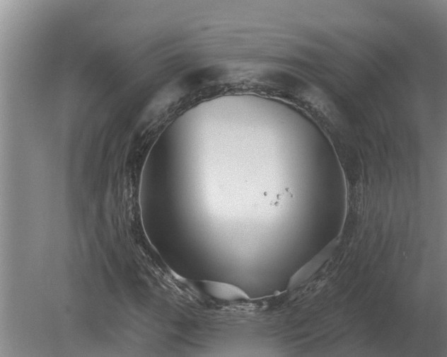 X0000080181111200612151941