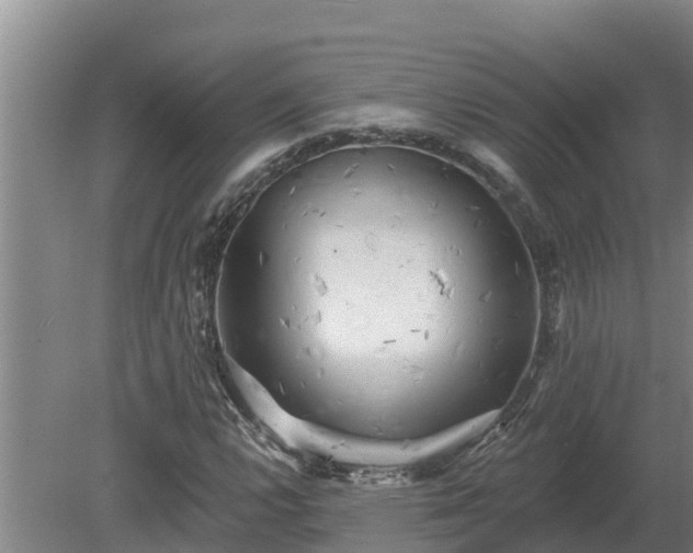 X0000080181112200612151941