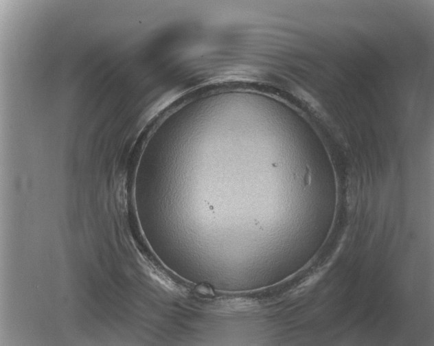 X0000080181113200612151941