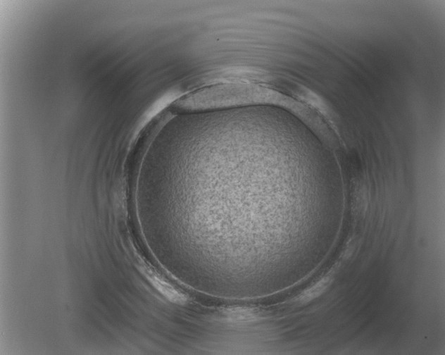 X0000080181114200612151941