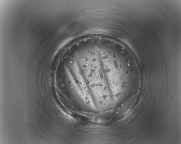 X0000080181115200612151941