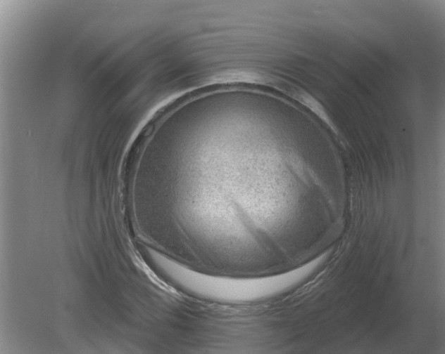 X0000080181116200612151941