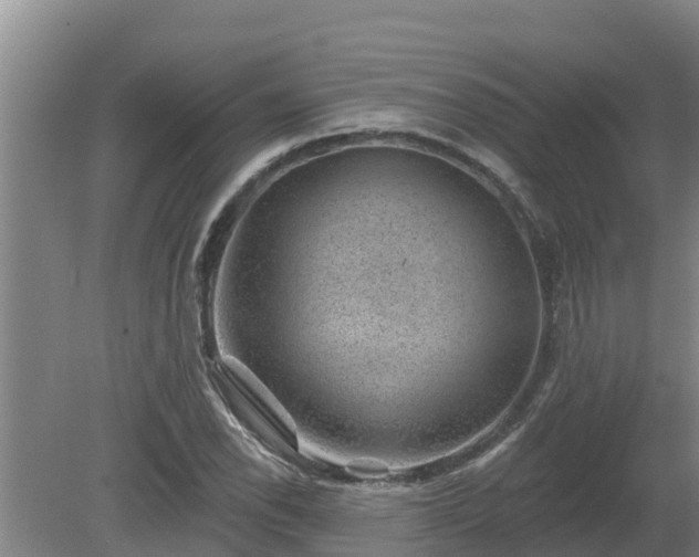 X0000080181118200612151941