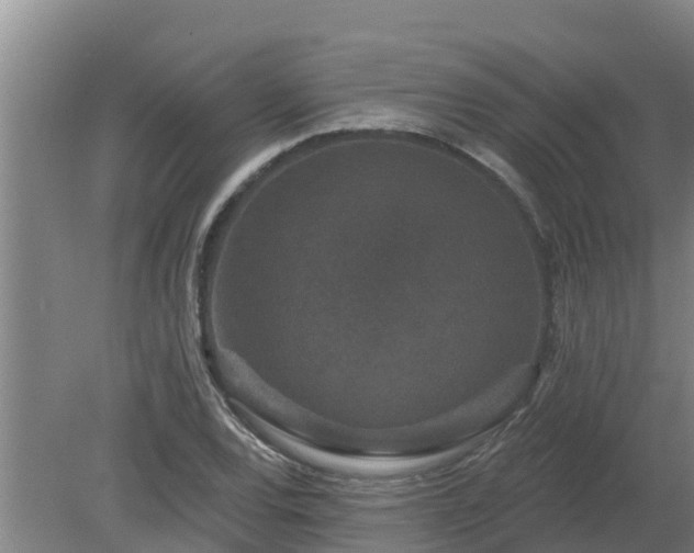 X0000080181120200612151941