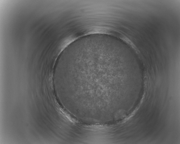 X0000080181121200612151941