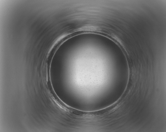 X0000080181123200612151941