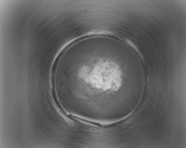 X0000080181124200612151941