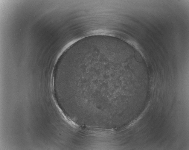 X0000080181125200612151941