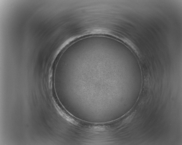 X0000080181126200612151941