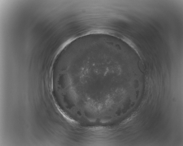 X0000080181127200612151941