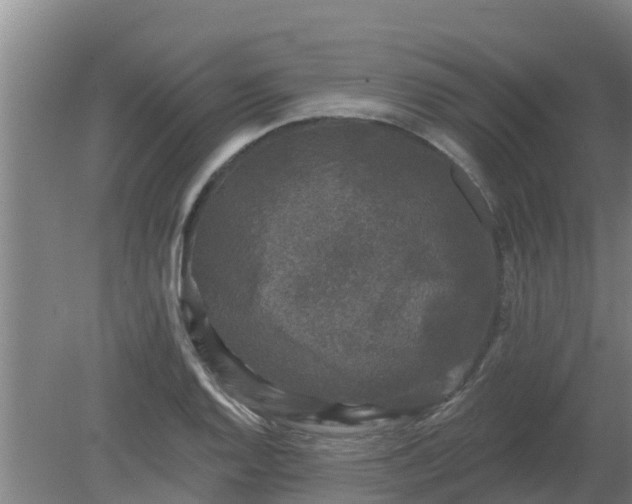 X0000080181128200612151941