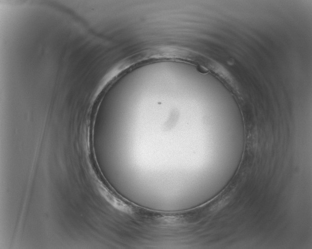 X0000080181130200612151941