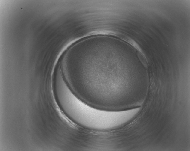 X0000080181132200612151941