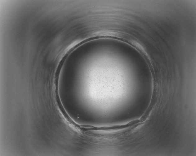 X0000080181133200612151941