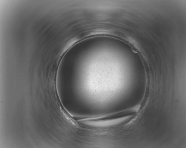 X0000080181137200612151941