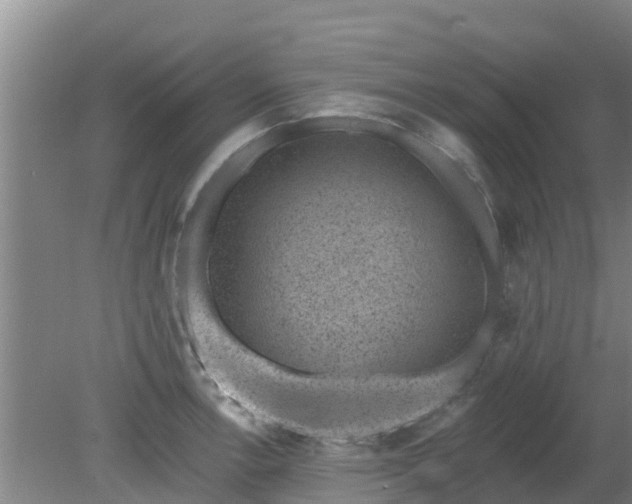 X0000080181138200612151941