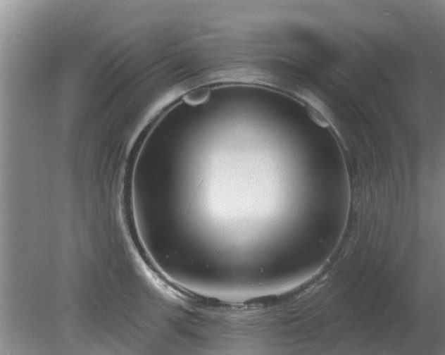 X0000080181139200612151941