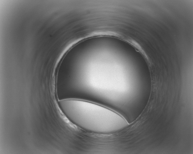 X0000080181140200612151941