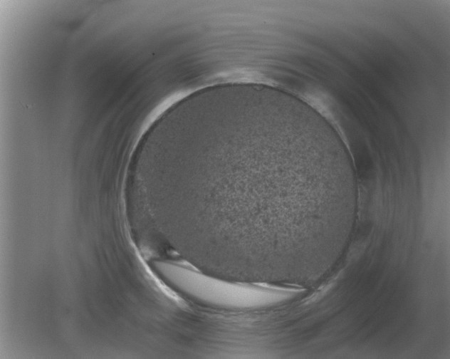 X0000080181141200612151942