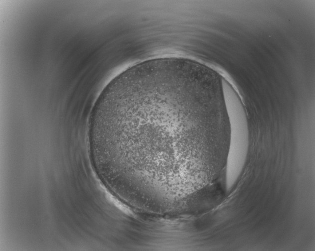 X0000080181142200612151942