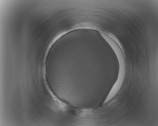 X0000080181144200612151942