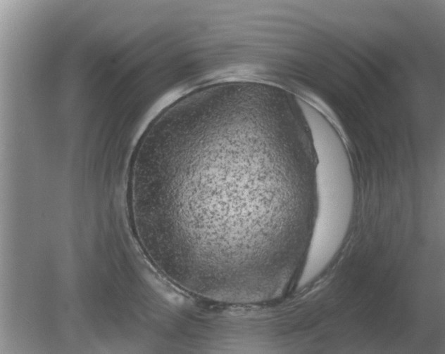 X0000080181146200612151942