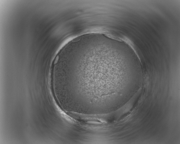 X0000080181147200612151942