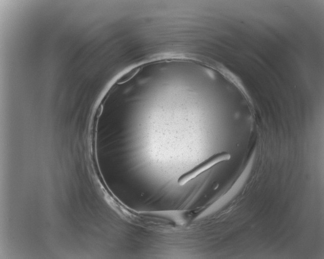 X0000080181148200612151942