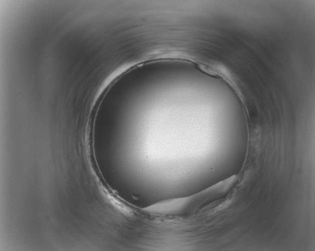 X0000080181149200612151942