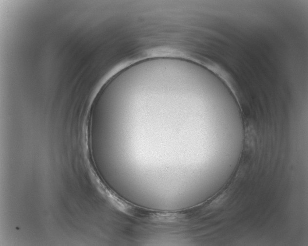 X0000080181150200612151942