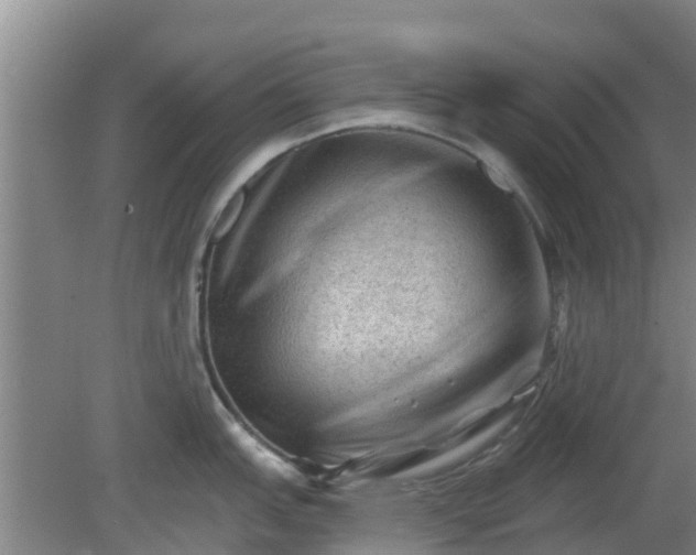 X0000080181151200612151942