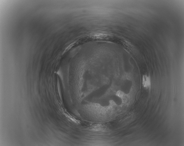 X0000080181155200612151941